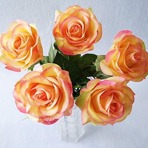 DYF Realistic Moisturizing Silk cloth Decoration Rose Simulation Flower,Powder Champagne