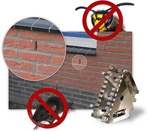 20 er Set Stoßfugenlüfter Bienenbeisser Fugenlüfter 50mm rostfrei aus Edelstahl - 2