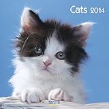 Cats 2014. Broschürenkalender by