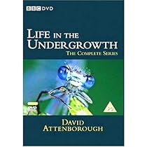 (未使用･未開封品)Attenborough in Paradise &amp; Other Personal Voyages [DVD] [Import] Amazon.com: Attenborough in Paradise (Repackaged) [DVD