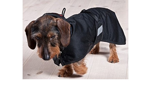 weiner dog coat