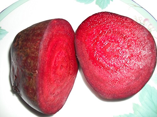 フレッシュビーツ5kg