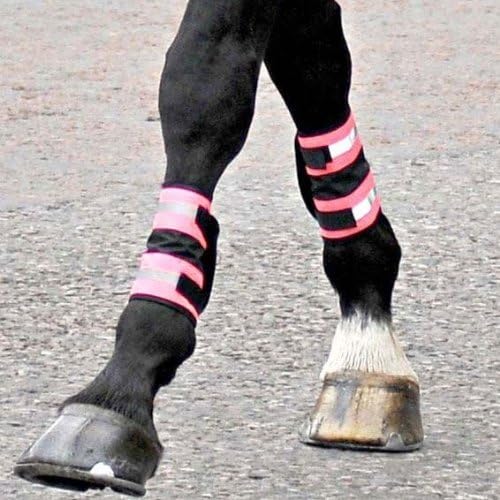 Equisafety Horse Boots Safety rose Rose - High Viz Pink Size:taille unique by Equisafety