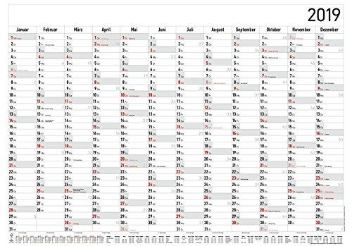Preisvergleich Produktbild Jahresplaner XL 2019 - Wandkalender / Plakatkalender (99 x 69) - Ferienübersicht - Arbeitstagezählung