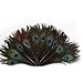 Museya 50pcs 25-30cm Beautiful Natural Peacock Tail Feathers Eyes Feathers Decorations for Craft /Art /Dress /Hats /Bridal Costume /Party