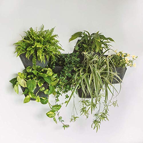 Jardín Vertical MH. Maceta Hexagonal de 350x 200x 285 mm con autorriego. Crea un Mosaico vegetal en espacios interiores y exteriores.