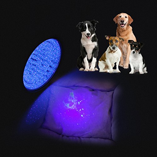 100 UV LED Ultraviolett schwarzlicht taschenlampe Stain Detektor mit UV Schutzbrille für Skorpion Haustier Hund und Katze Diagnose Identifizierung von Geld WEINAS - 3