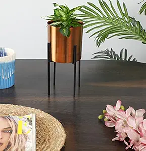 JULPIC Copper Cylindrical Set of 2 Desk Planters for Indoor Decoration | Size- Small | Metal Planters Flower Pots