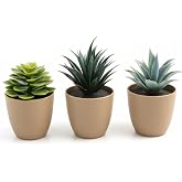 &Uuml;&ccedil;l&uuml; Mini Yapay Sukulent Seti &ndash; 8 cm Saksı, Dekoratif K&uuml;&ccedil;&uuml;k Bitki Seti, Ger&ccedil;ek&ccedil;i G&ouml;r&uuml;n&uuml;m, Salon Ofis Ev Masa &Uuml;st&uuml; S&uuml;s Bitkisi