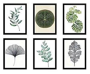 Interio Crafts Botanical Garden Paper Prints; Six Piece Black Frames(Size: 12X8 Inches; Glass and High Density Fiberboard (HDF) Wood)