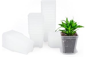 ‎KINGLAKE KINGLAKE 24Stück 7CM Anzuchttöpfe Pflanztöpfe Anzucht Ackig Klein Mit Untersetzer, Dickte Blumentöpfe Kunststoff Vierkant Mini Töpfe, quadrate Für Samen Sukkulenten-Transparent