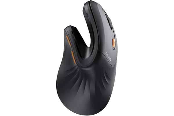 ProtoArc EM11 NL Souris Ergonomique sans Fil, Souris Verticale Rechargeable avec 3 Ports D'appareils (2*Bluetooth & USB), Mini Souris Silencieuse pour PC, iPad, Mac, Windows - Noir