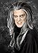 Price comparison product image Adult Mens Halloween Long Grey Vampire Count Dracula Wig