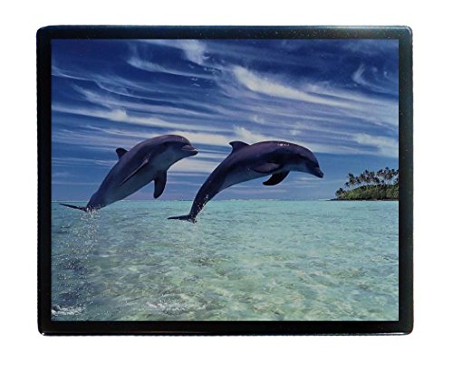 Preisvergleich Produktbild Wetterkapriolen italienischen Delphine 3 Mauspad