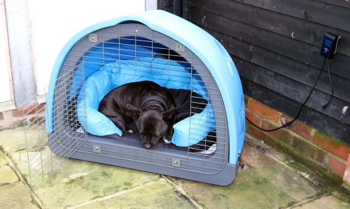 PetzPodz-Puppy-Revolution-Training-Crate