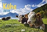 Kühe 2019: Der Sympathische Kühe-Kalender mit den charmanten Namen by 