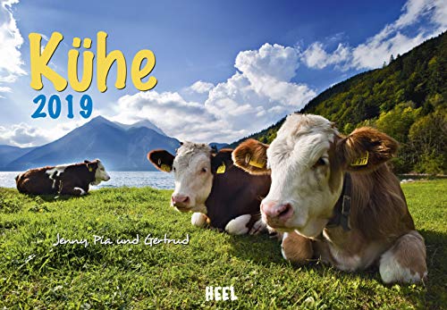 Kühe 2019: Der Sympathische Kühe-Kalender mit den charmanten Namen