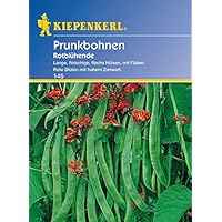 Bohne Rotblühende / Feuerbohnen