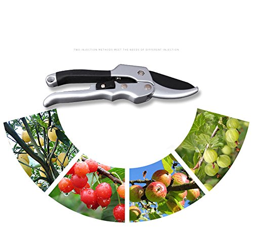 SCISSORS Pruning Shears Shears Bypass Pulleys And Labor Saving Fruit Branches Gardening Gardening Shears Branches Pruning Shears Rough Cutting Shears