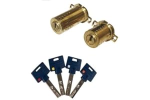 MUL-T-LOCK Jeu De Cylindres CHEBA K de Haute Sécurité Adaptable 787 Fichet / 4 Clés Incopiables peu Encombrantes/Carte de Propriété