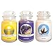 Produktbild Offizielles Limited Edition All Things Fresh Set von 3 Yankee Candle Gläser groß, Sunrise, Baumwolle & Lavendel
