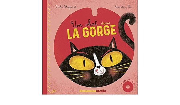 Amazon Fr Un Chat Dans La Gorge 2 Volumes 1cd Audio Mp3 Piu Amandine Chazerand Emilie Livres