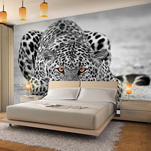 Fototapete Leopard 308 x 220 cm – Vliestapete – Wandtapete – Vlies Phototapete – Wand – Wandbilder XXL – !!! 100% MADE IN GERMANY !!! Runa Tapete 9034010b - 3