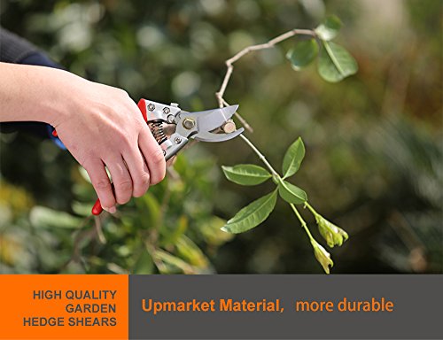 Happy FD Stahl Rasierer Gartenschere Garten Clippers Gartenscheren und Stahl Gartenschere Handarbeit - 4