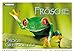 Produktbild Frösche: Frogs, Grenouilles Postkartenbuch Tubu25
