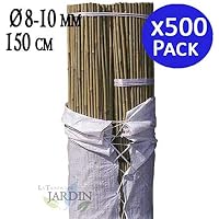 Amazon.es: Soportes para plantas: Jardín