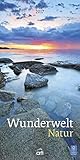 Wunderwelt Natur 2017 - Wandkalender, Fotokalender, Naturkalender - 24 x 48 cm by