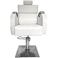 Seat Relax Makeup Beauty Parlor Salon Chair, Barber Chair, 360 ° Swivel Adjustable Spa Beauty Equipment (White)