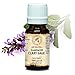 Produktbild Muskatellersalbeiöl 10ml - Naturreines Ätherisches Öl Muskatellersalbei - Salvia Sclarea - Frankreich - Für Beauty Aromatherapie - Aroma Diffuser - Raumduft - Clary Sage Oil