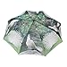 FabSeasons Green colored, White Peacock Digital Printed, 3 Fold Fancy Automatic Umbrella for all Weather RS.499.00