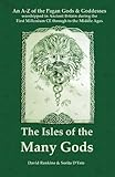 Image de The Isles of the Many Gods: An A-Z of the Pagan Gods & Goddesses of Ancient Britain worshipped during the First Millenium through to the Middle Ages (