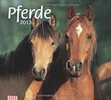 Image de times & more Bildkalender Pferde 2013