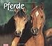times & more Bildkalender Pferde 2013 by