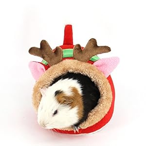 Winterworm – Cama de felpa suave para mascotas con almohadilla extraíble para hámster, erizo, cobaya y gato recién nacido