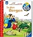 In den Bergen (Wieso? Weshalb? Warum? junior, Band 42) by Andrea Erne, Anne Ebert