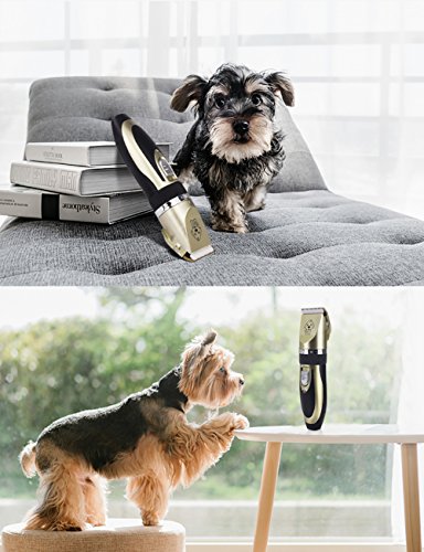 Pet-Grooming-Clippers-YaFex-Rechargeable-Cordless-Pet-Hair-Shaver-Grooming-Trimmer-Kit-set-with-Low-Noise-Low-Vibration-Cordless-Pet-Fur-Grooming-Set-with-4-Comb-Guides-and-Cleaning-Brush-for-Cats-and