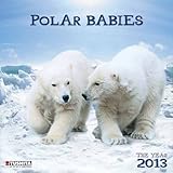 Polar Babies 2013 Wonderful World by 