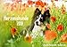 Herzenshunde 2018 (Wandkalender 2018 DIN A3 quer): Hunde fotografiert von Madlen Kudla (Monatskalender, 14 Seiten ) (CALVENDO Tiere) by 