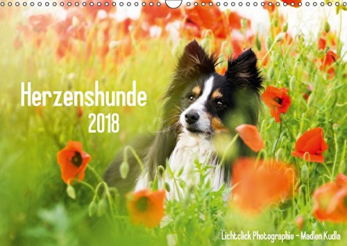 Herzenshunde 2018 (Wandkalender 2018 DIN A3 quer): Hunde fotografiert von Madlen Kudla (Monatskalender, 14 Seiten ) (CALVENDO Tiere)