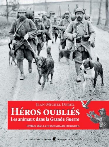 couverture de : H&eacute;ros oubli&eacute;s
