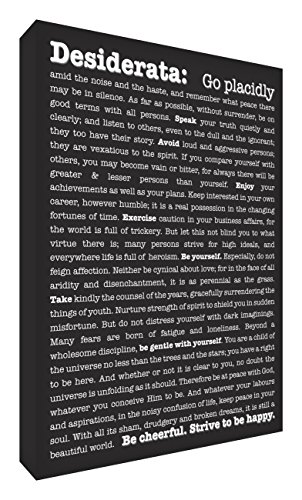 Feel Good Art A3 Modern Gallery Wrapped Typographic Thick Box Canvas (16 x 12-Inch, Black, Desiderata Design)