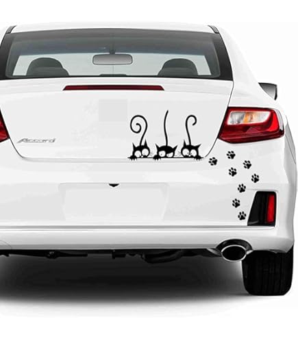 Guide Ultime : Choisir Les Stickers Parfaits Pour Votre Voiture