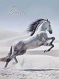 Magic Horses 2017: Kalender 2017 (Decor Calendars 45x60) by