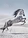 Magic Horses 2017: Kalender 2017 (Decor Calendars 45x60) by