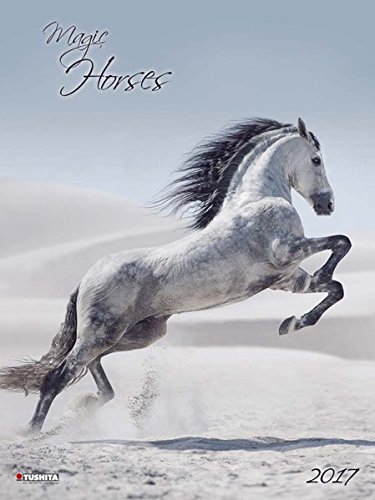 Magic Horses 2017: Kalender 2017 (Decor Calendars 45x60)