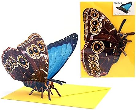 POP-UP Card"Morpho Butterfly": A Folded 3-D-Card of a Beautiful Tropical Morpho Butterfly - Greeting Card with Envelope